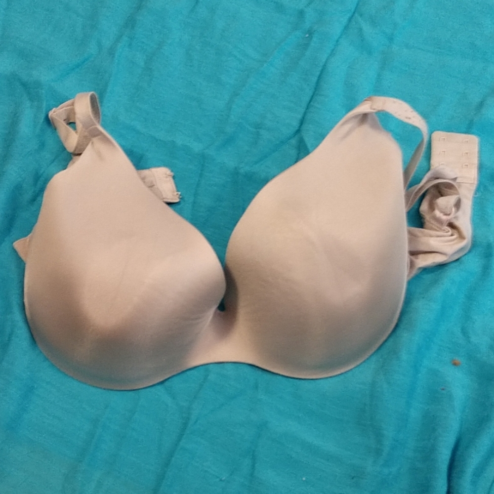 36D bra
